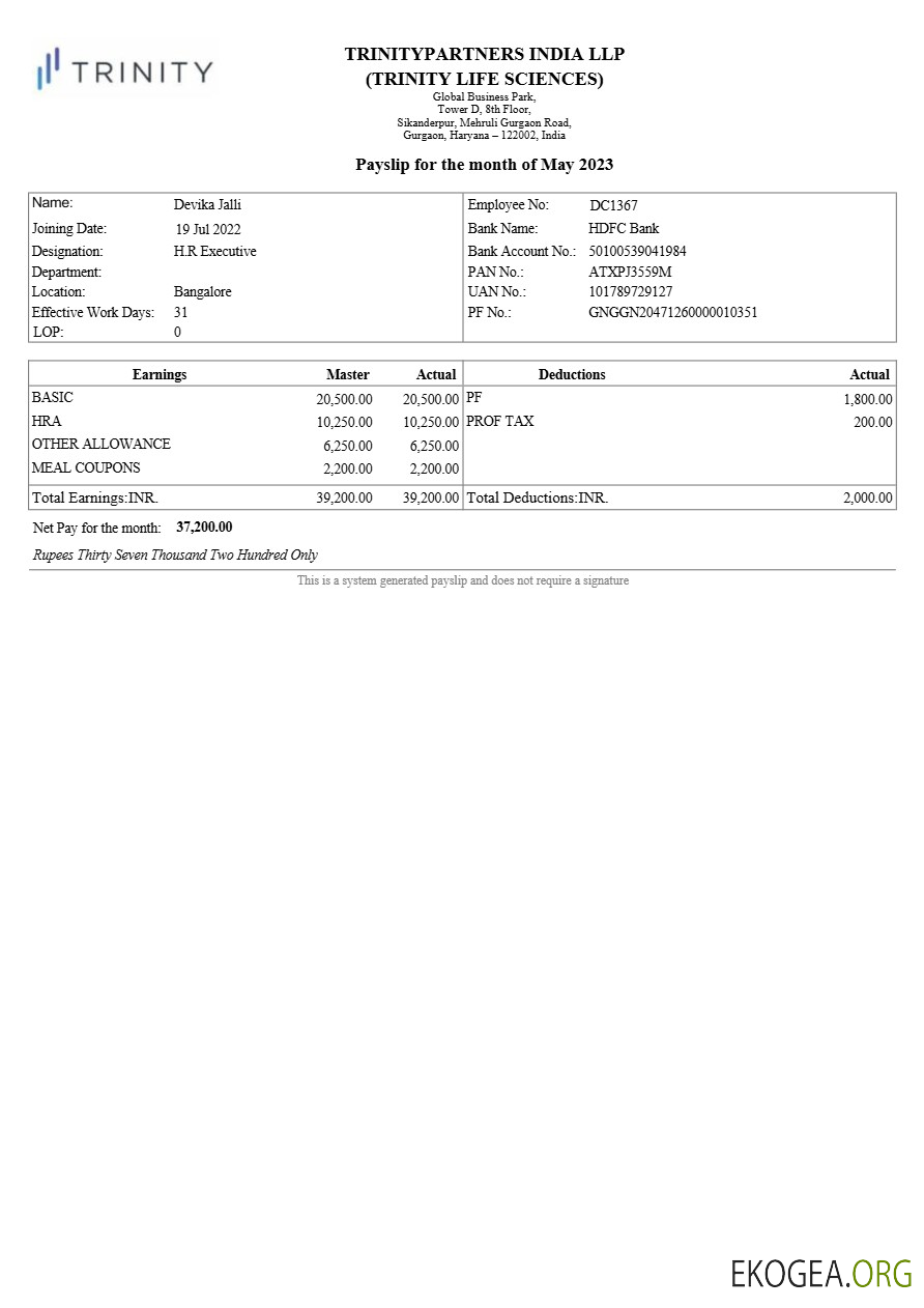 Modèle de fiche de paie immobilière Trinitypartners Inde aux formats Word et PDF.pdf, 1